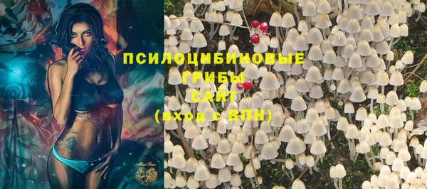 меф Вяземский