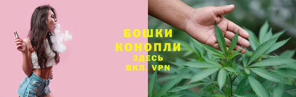 меф Вяземский