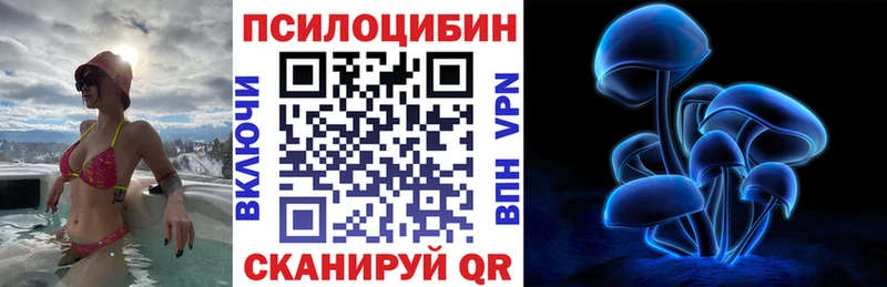 ссылка на мегу как зайти  Можга  Галлюциногенные грибы Magic Shrooms 