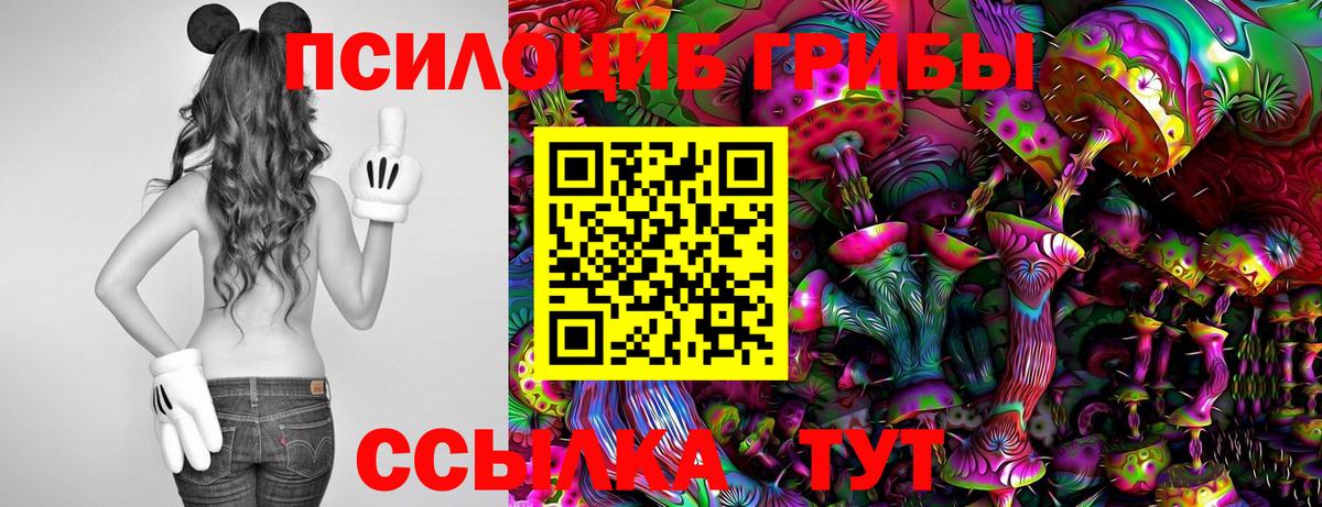 Псилоцибиновые грибы ЛСД Можга