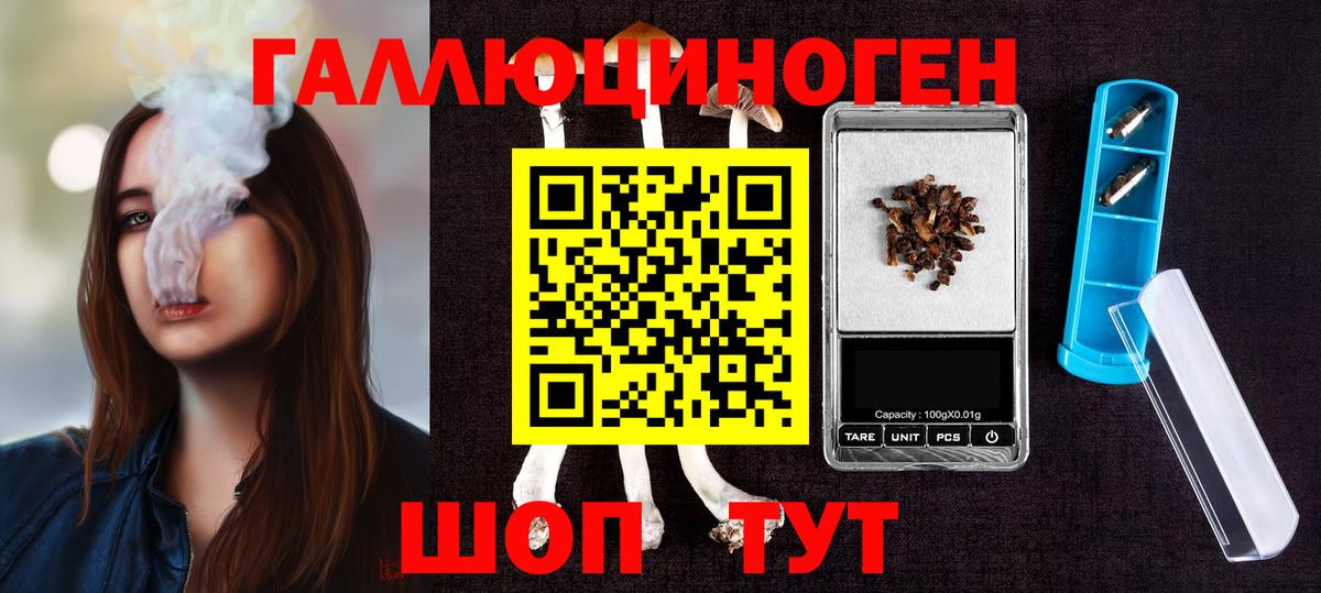 Можга  Псилоцибиновые грибы мицелий  что такое   Вход с VPN 