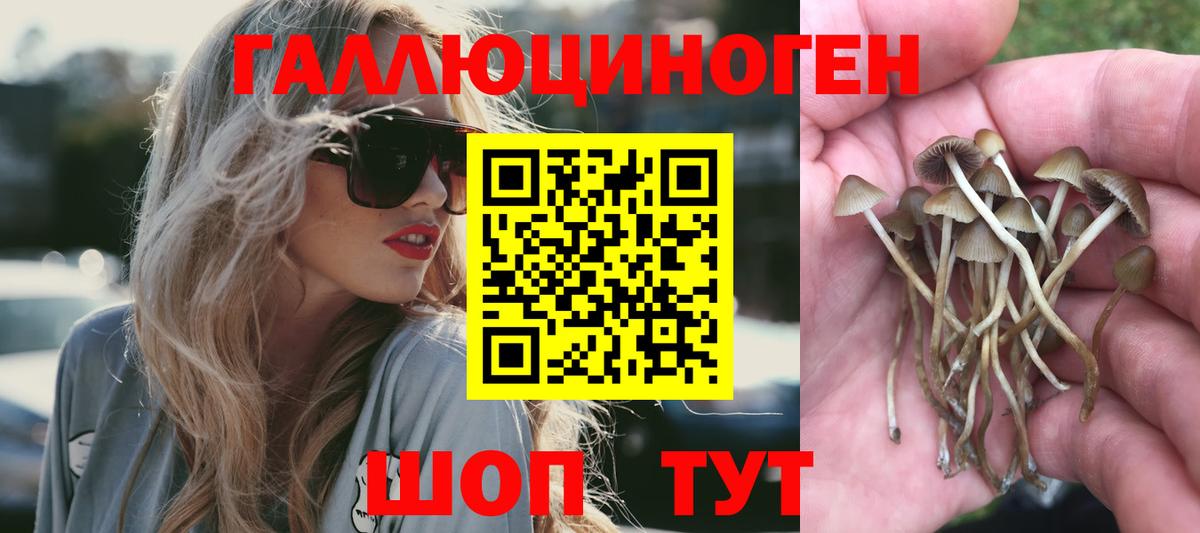 Галлюциногенные грибы Cubensis Можга